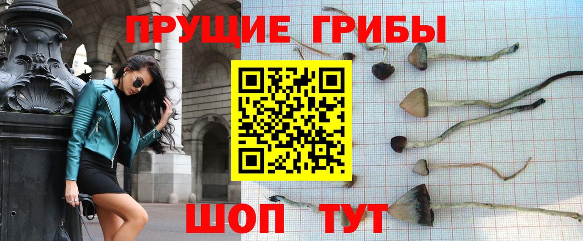 Галлюциногенные грибы MAGIC MUSHROOMS  Вход с VPN  купить  цена  Десногорск  Галлюциногенные грибы мицелий 